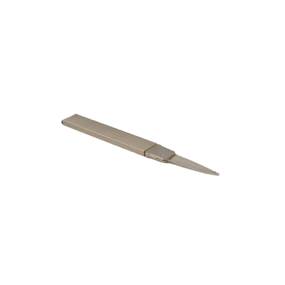Stuzzicadenti in argento 5,5 x 1 cm