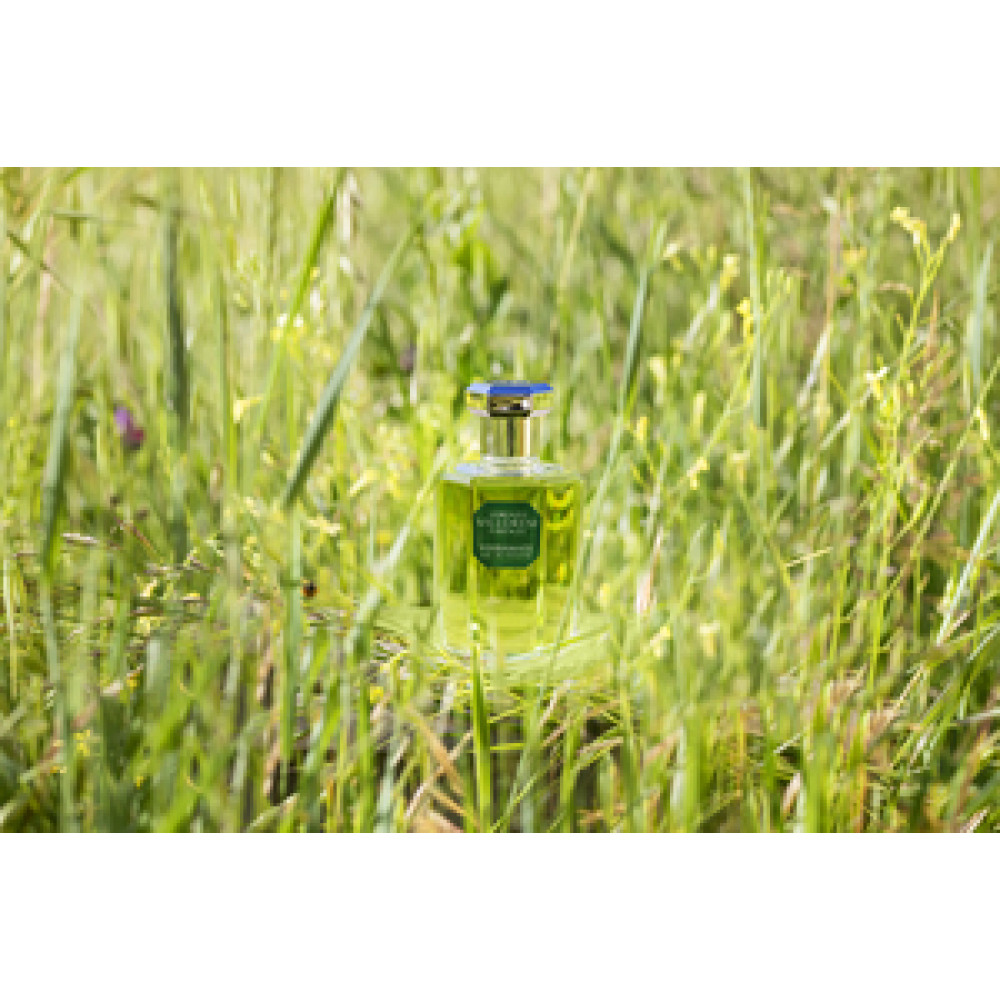 Yerbamate Eau de Toilette 50 sp
